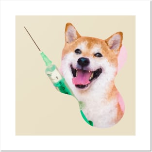 Shiba Inu Dog with a syringe for covid vaccine Posters and Art